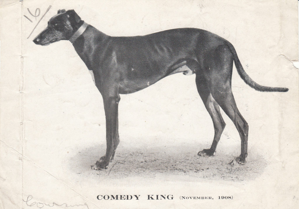 Oakley’s Pal – History of Greyhound Racing in Australia