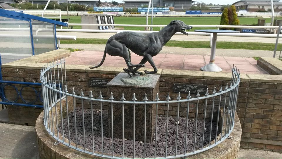 Brighton Dogs History of Greyhound Racing in Australia