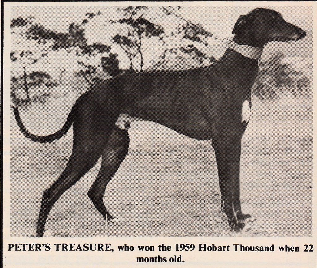 Three Hobart 1000 Winners – History Of Greyhound Racing In Australia