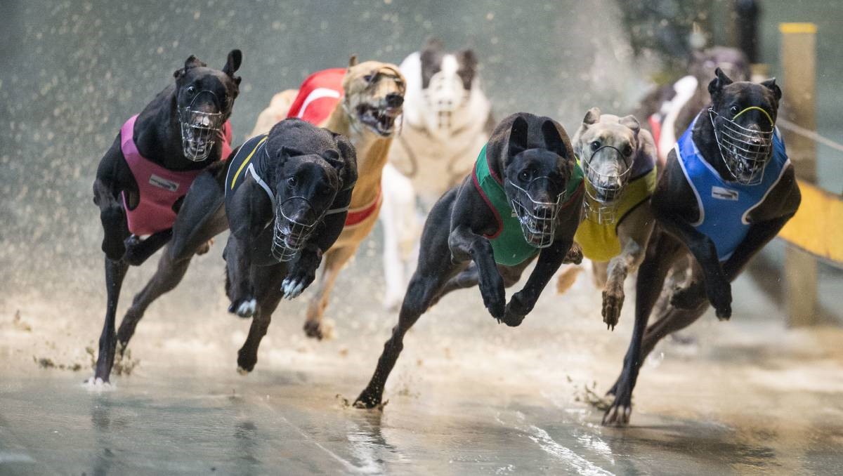 History of Cannington – History of Greyhound Racing in Australia