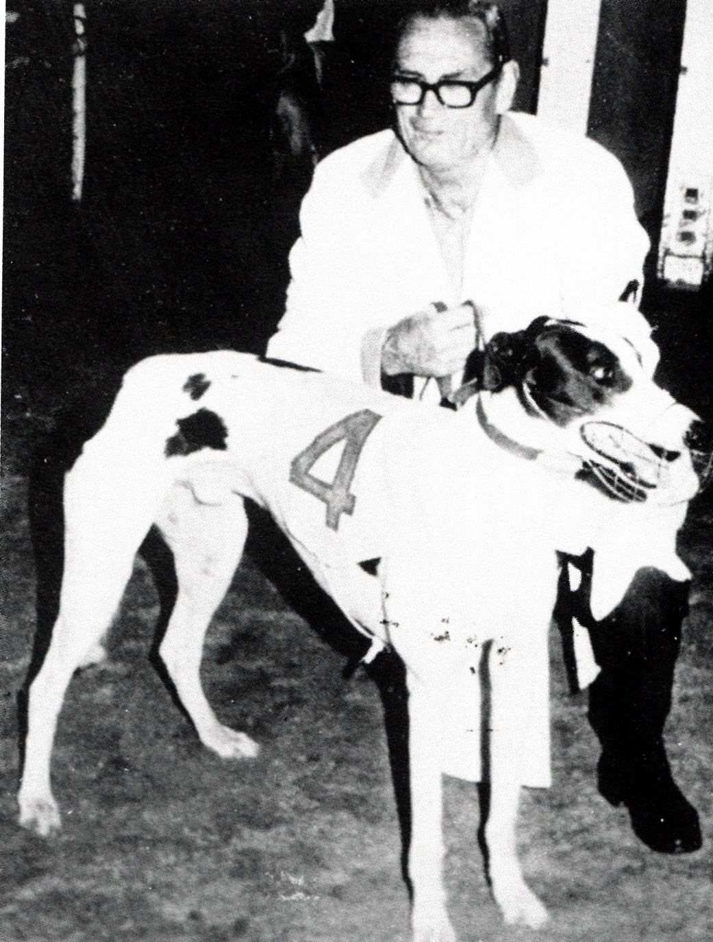 Half Your Luck Australian Cup 73 – History of Greyhound Racing in Australia