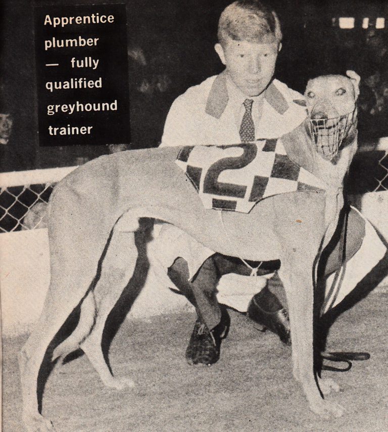 History Of The Adelaide Cup – History Of Greyhound Racing In Australia