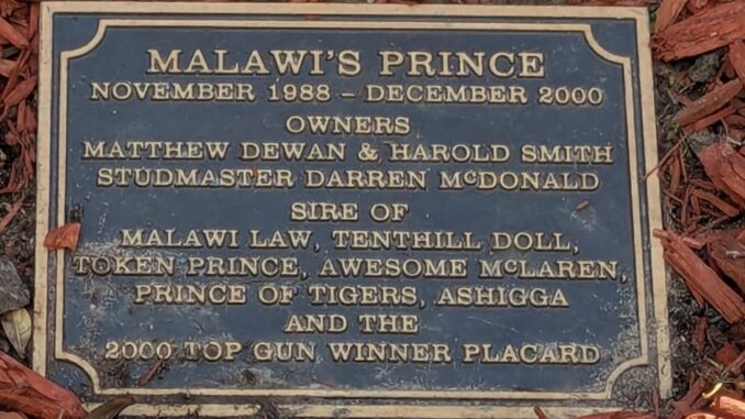 Mal Prince Grave Stone