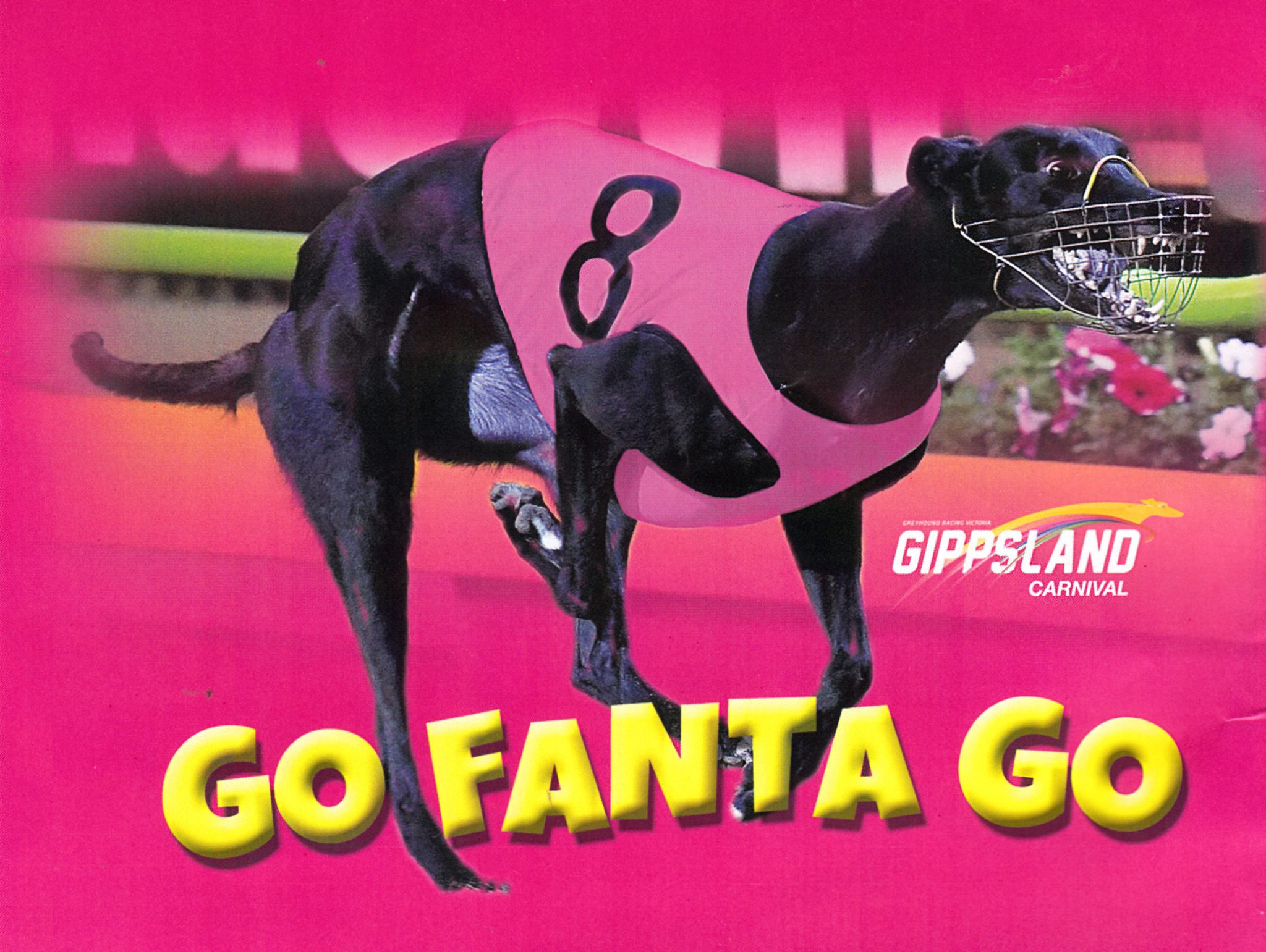 Fanta Racing 2000 PLUS