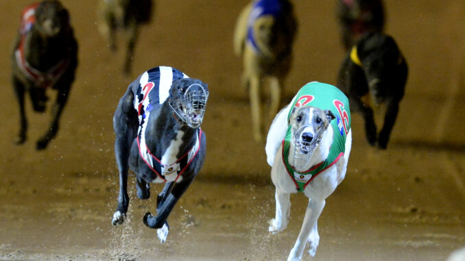 Dyna-Double-One-and-Fernando-Bale-quinella-the-TAB-Melbourne-Cup